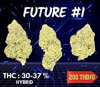 OG Future 1