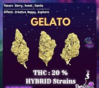 OG Gelato