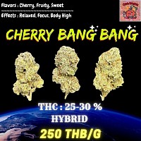 OG Cherry Bang Bang