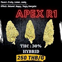 OG APEX R1
