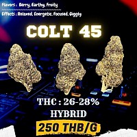 OG Colt 45