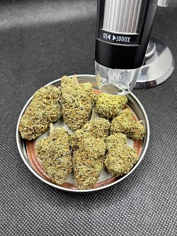 Og